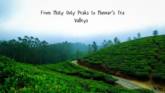 ooty to Munnar